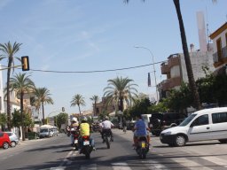 XVII Concentracion - 2010